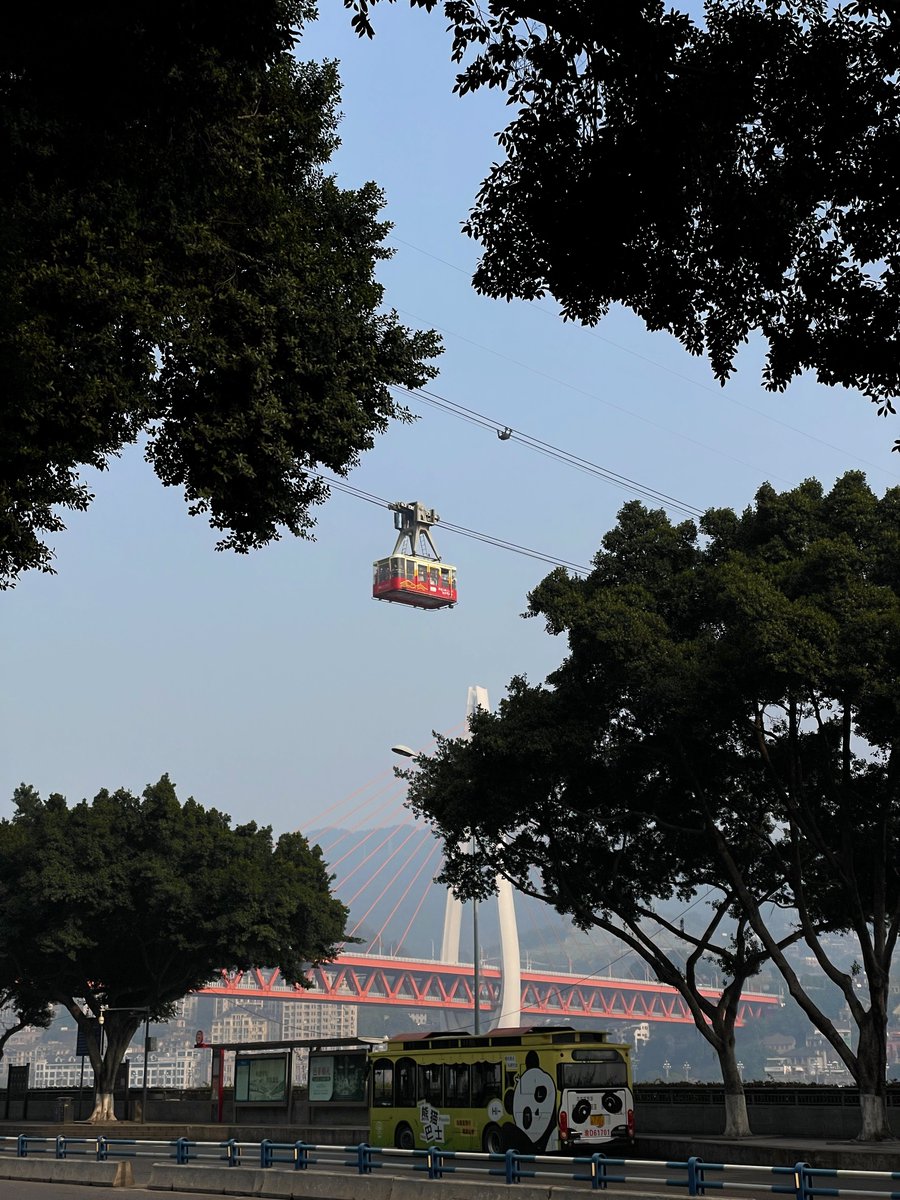 yum_good_yum's tweet image. 충칭 너무 매력적인 도시였고 음식들도 너무 맛있어서 일주일이 어떻게 지나갔는지 모르겠음