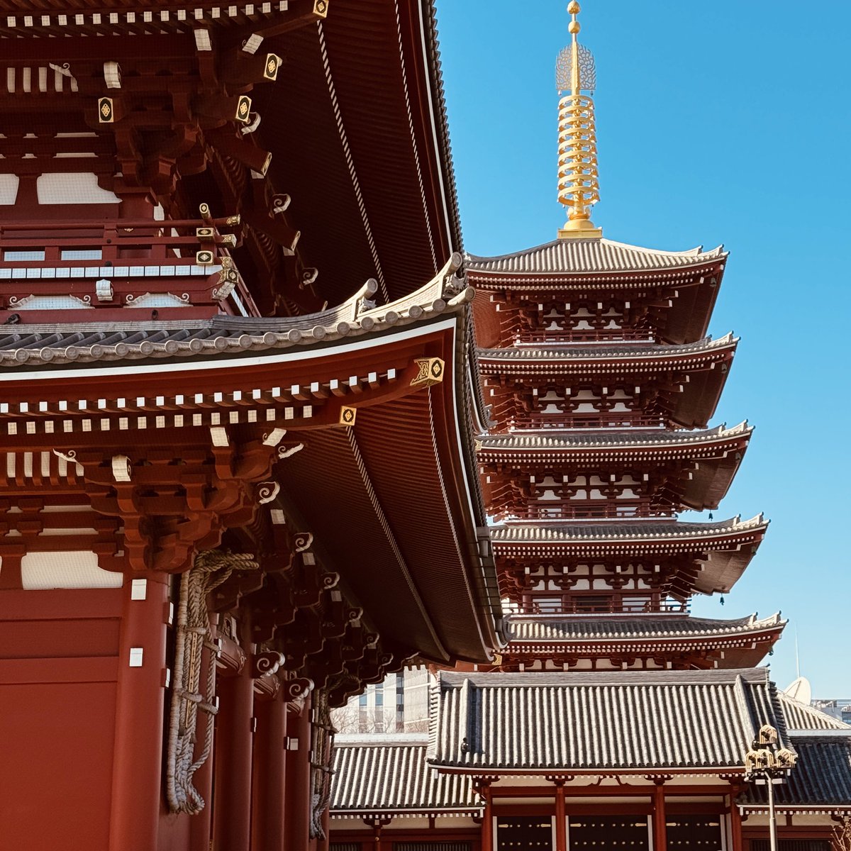 1posi's tweet photo. 前向きに生きよう https://t.co/fB15FWKCTC