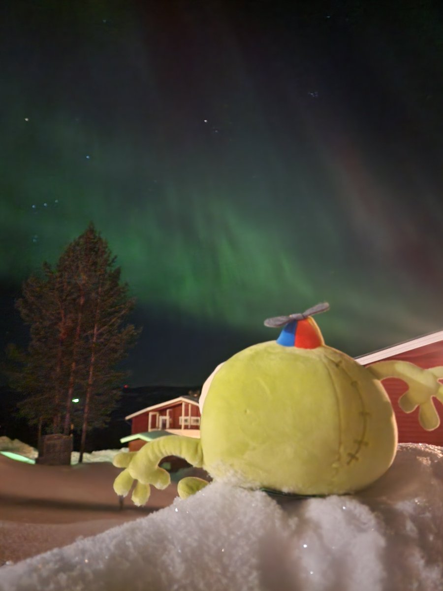 LandfallGames's tweet image. a rare sight, the aurora bingbongealis