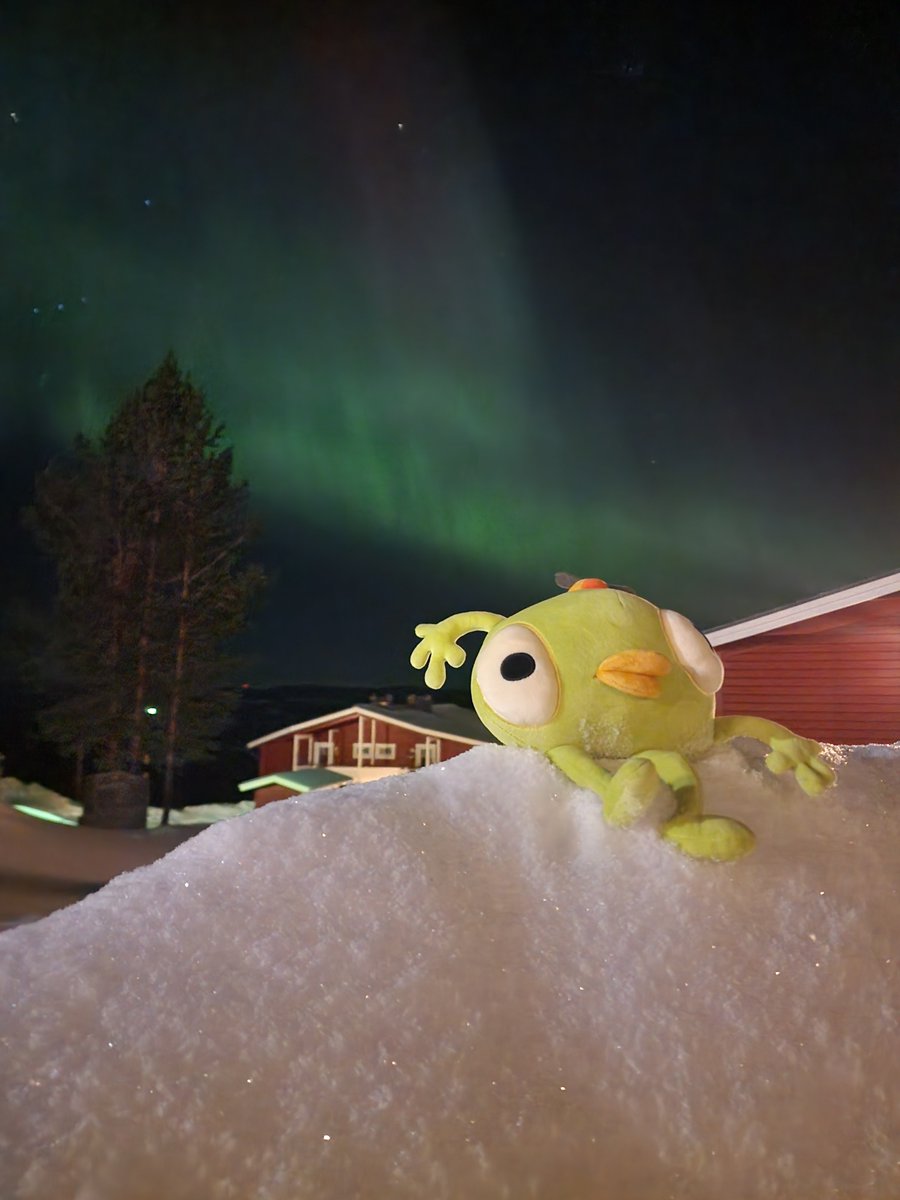 LandfallGames's tweet image. a rare sight, the aurora bingbongealis