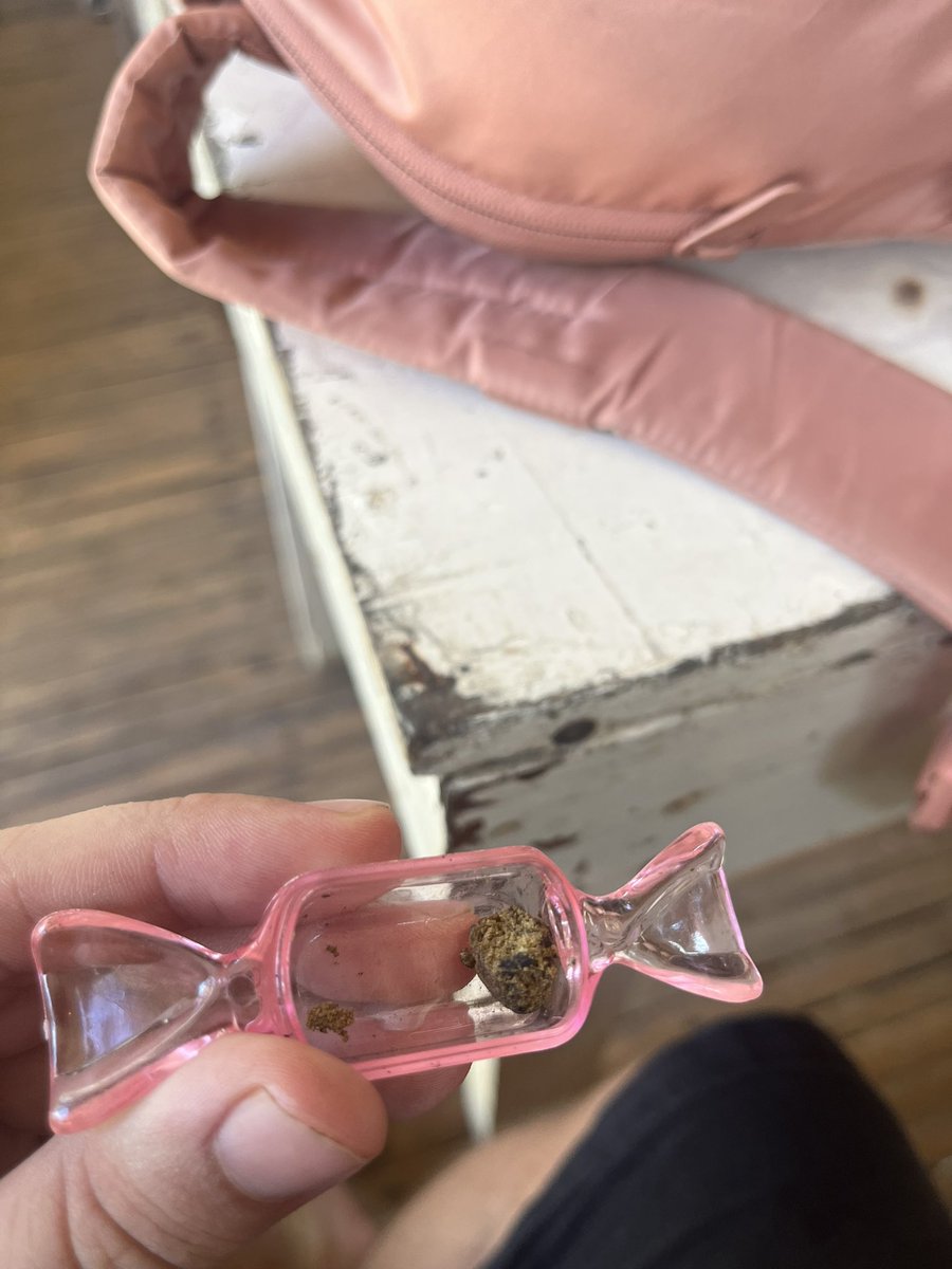 Тимо tweet media