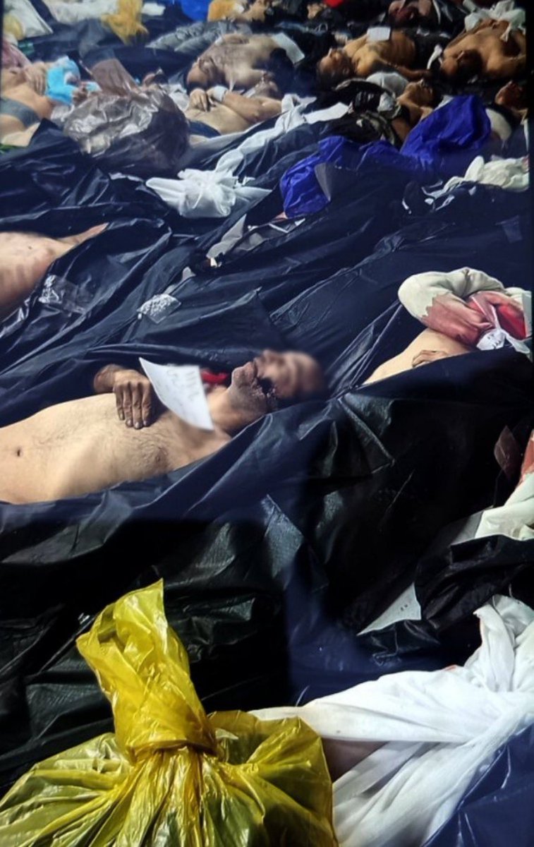 hesamorouji's tweet photo. @araghchi 12,000 innocent Iranians have been killed by the Islamic Republic.
Internet blackouts can’t hide a massacre forever.
The free world must act—now. #Iran https://t.co/2X1JF2LUMh