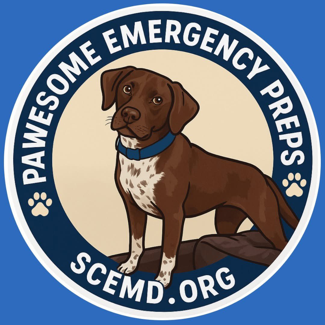 SCEMD's tweet photo. Happy National Sticker Day!
Show off your pawesome emergency prep pride with our pet-friendly sticker! Being ready isn’t just for humans. Your furry friends need a plan too.
#NationalStickerDay #EmergencyPreparedness #PawsomePreps #SCEMD #PetPreparedness https://t.co/ydEgseFGV1