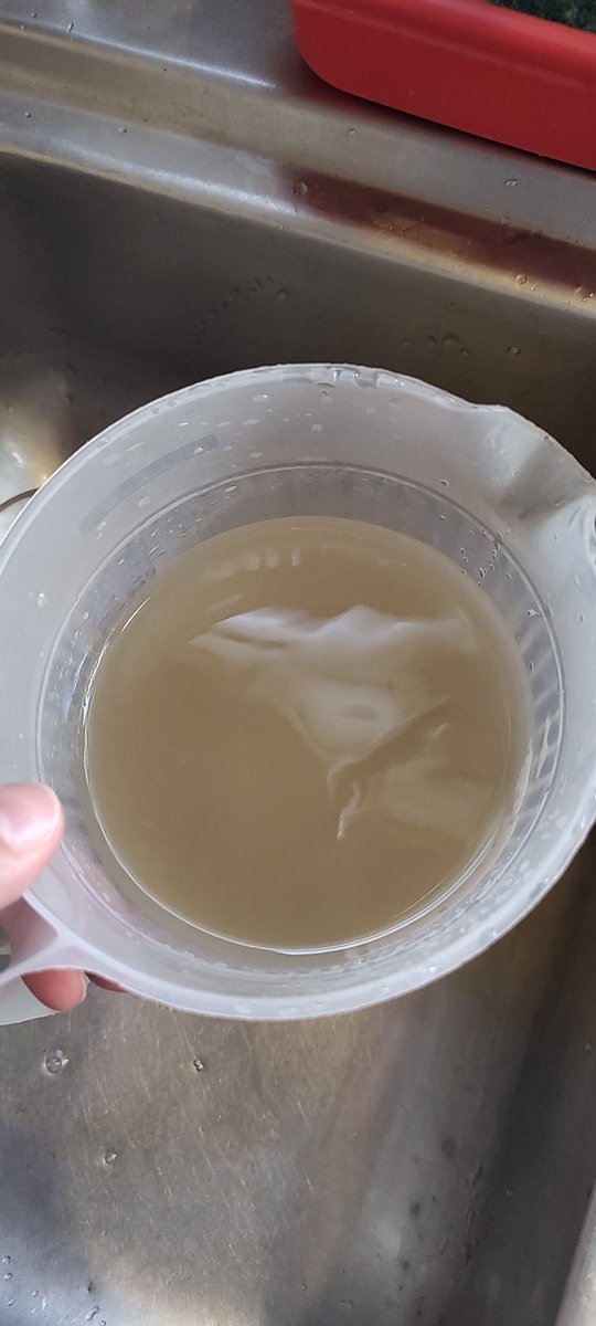 javier pettengill tweet media