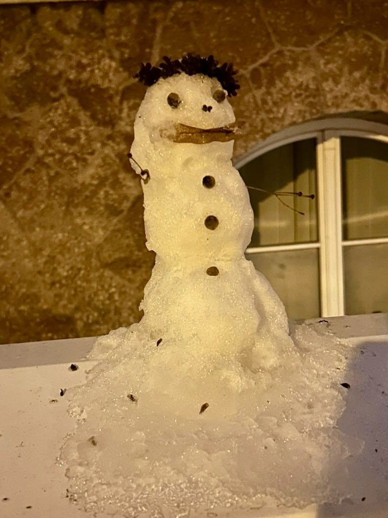 LissyLabrakel's tweet image. Der Kumpel stand heute pfrüh aupf unserem Briepfkasten und hat den Hauseingang bewacht. 🥰 Mittags hatte er schon wieder gekündigt. Es heißt, es wäre ihm zu warm gewesen, da hat er sich pferdünnisiert. 🙄 Echt schwer, gutes Personal zu pfinden… 🤣