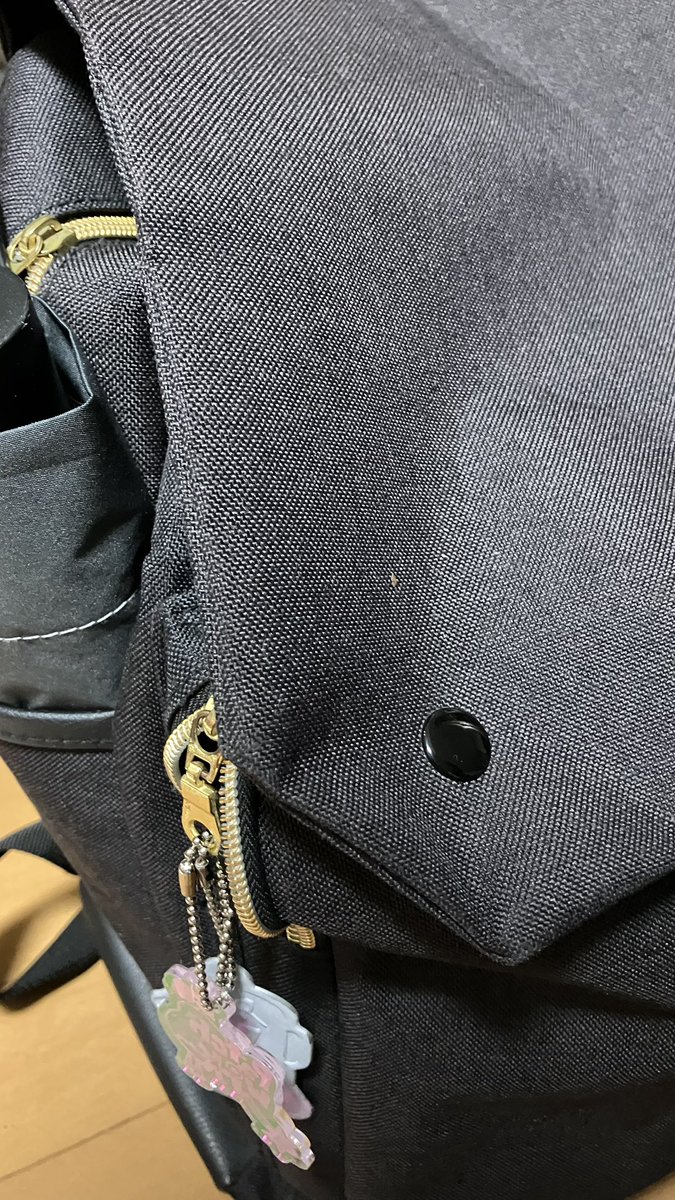 報告】新しいリュック買いました。分かりづらいけど濃いめのブラウン