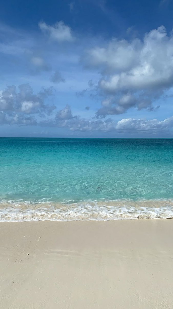 turquesa_711's tweet image. 🩵