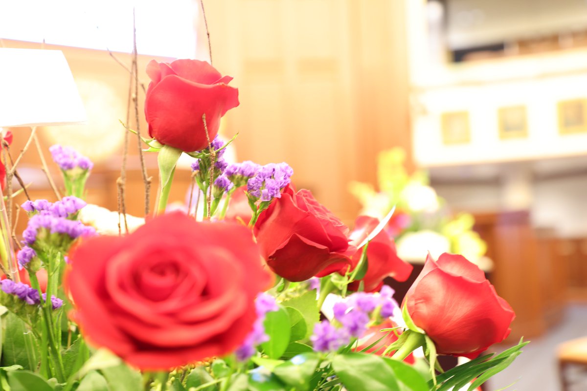 Florida Senate tweet media