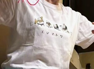間もなく、サカナちゃんの『おサカナ天国』が始まりますね。
聞いた人が分かるであろう写真をこちらでこそっとあげときますね。
サカナちゃん！このTシャツだよ！！

#ゼロ天国