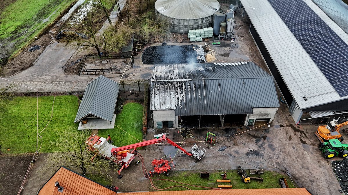 Stalbrand Moergestel