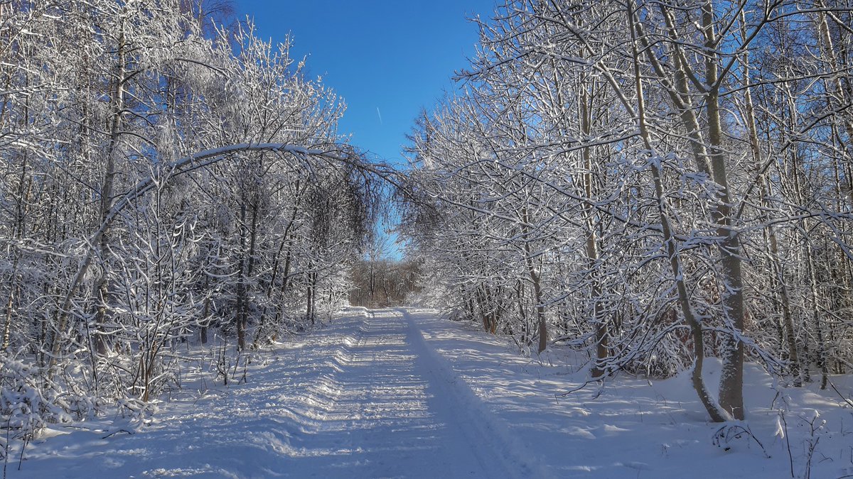 capilatus's tweet photo. Es gibt Neues aus der #Winterwelt #Suhl #Domberg #Gehlberg #ThüringerWald 10-15 min Videos im Februar https://t.co/YhbJtKfzzr https://t.co/9bOF8QqKwq