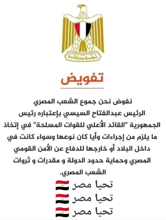 رجاء من المصريين  نسخ التفويض ووضعه على صفحته