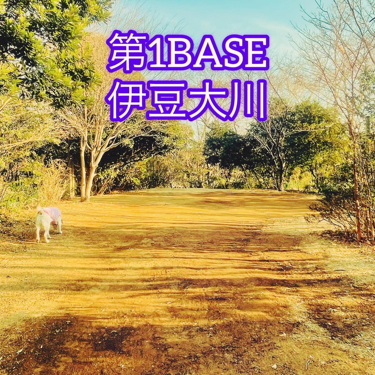 FreeSiteBase's tweet photo. #1日1組限定  #プライベートキャンプ場 
 フリーサイトベース 

新年
あけましておめでとうございます┏●

昨年も大変お世話になりました🍀*゜
本年も何卒
宜しくお願いいたします┏●

 #フリーサイトベース伊豆大川 
 #フリーサイトベース北軽井沢 
 #フリーサイトベースとよおか https://t.co/GFhlSMHTzz
