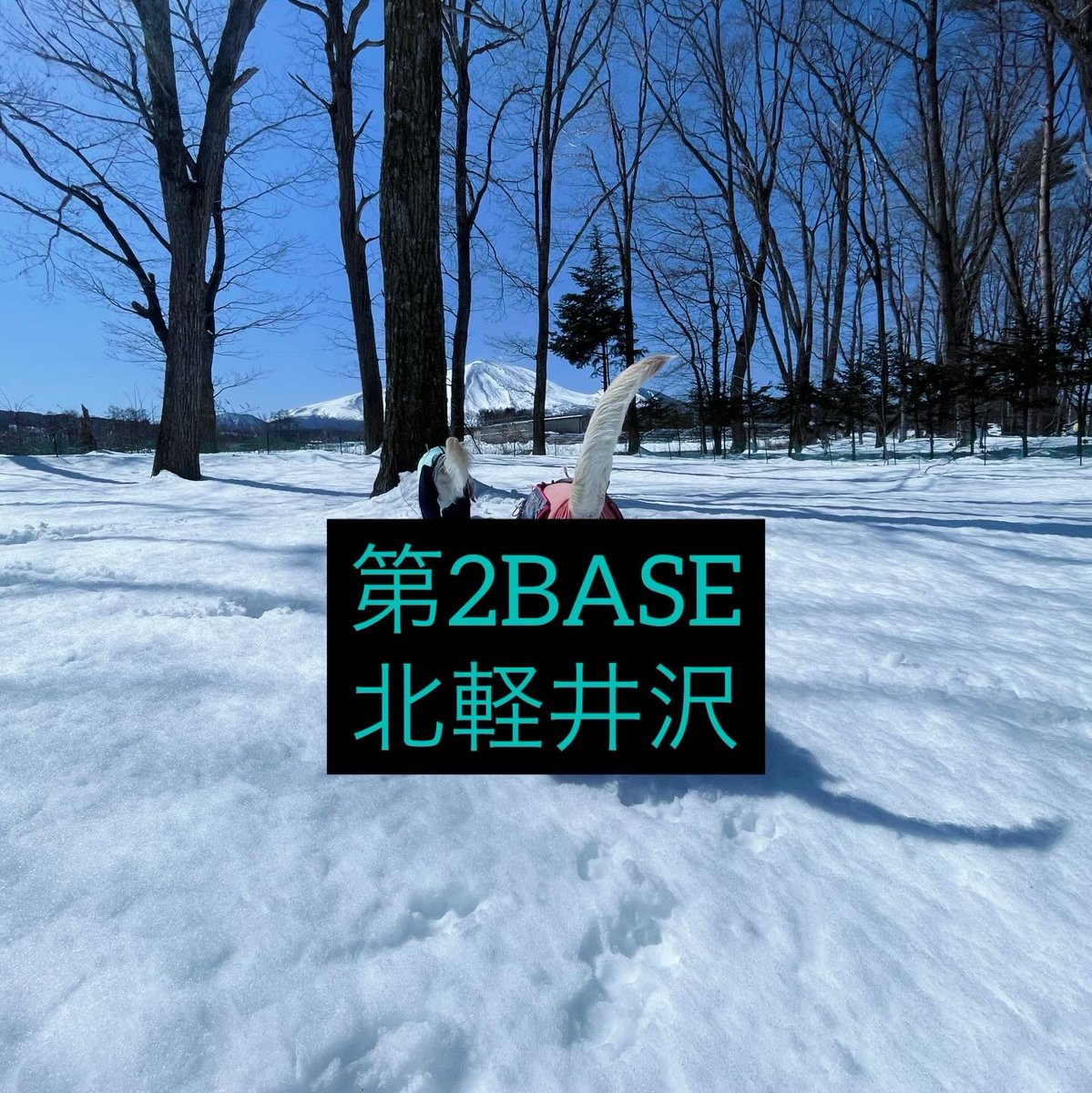 FreeSiteBase's tweet photo. #1日1組限定  #プライベートキャンプ場 
 フリーサイトベース 

新年
あけましておめでとうございます┏●

昨年も大変お世話になりました🍀*゜
本年も何卒
宜しくお願いいたします┏●

 #フリーサイトベース伊豆大川 
 #フリーサイトベース北軽井沢 
 #フリーサイトベースとよおか https://t.co/GFhlSMHTzz