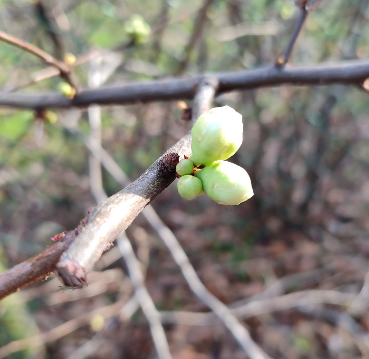 #KüçükMutluluklar