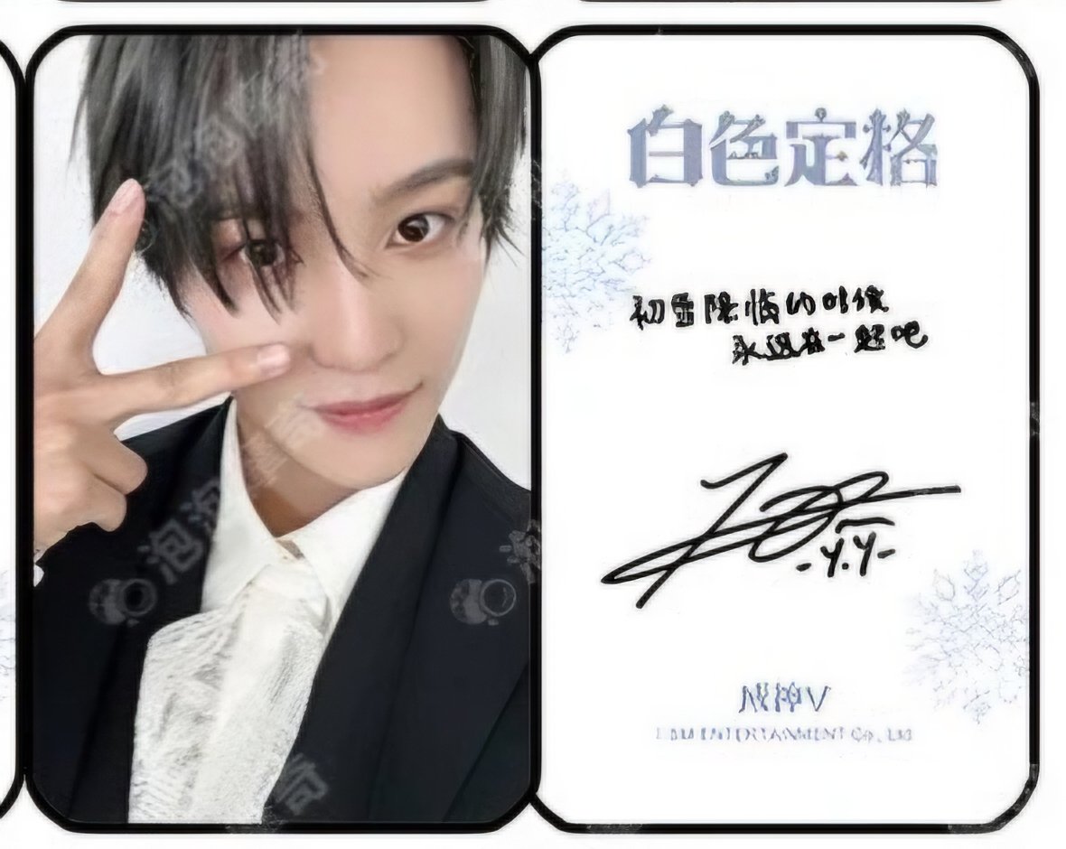 아기고양이세요