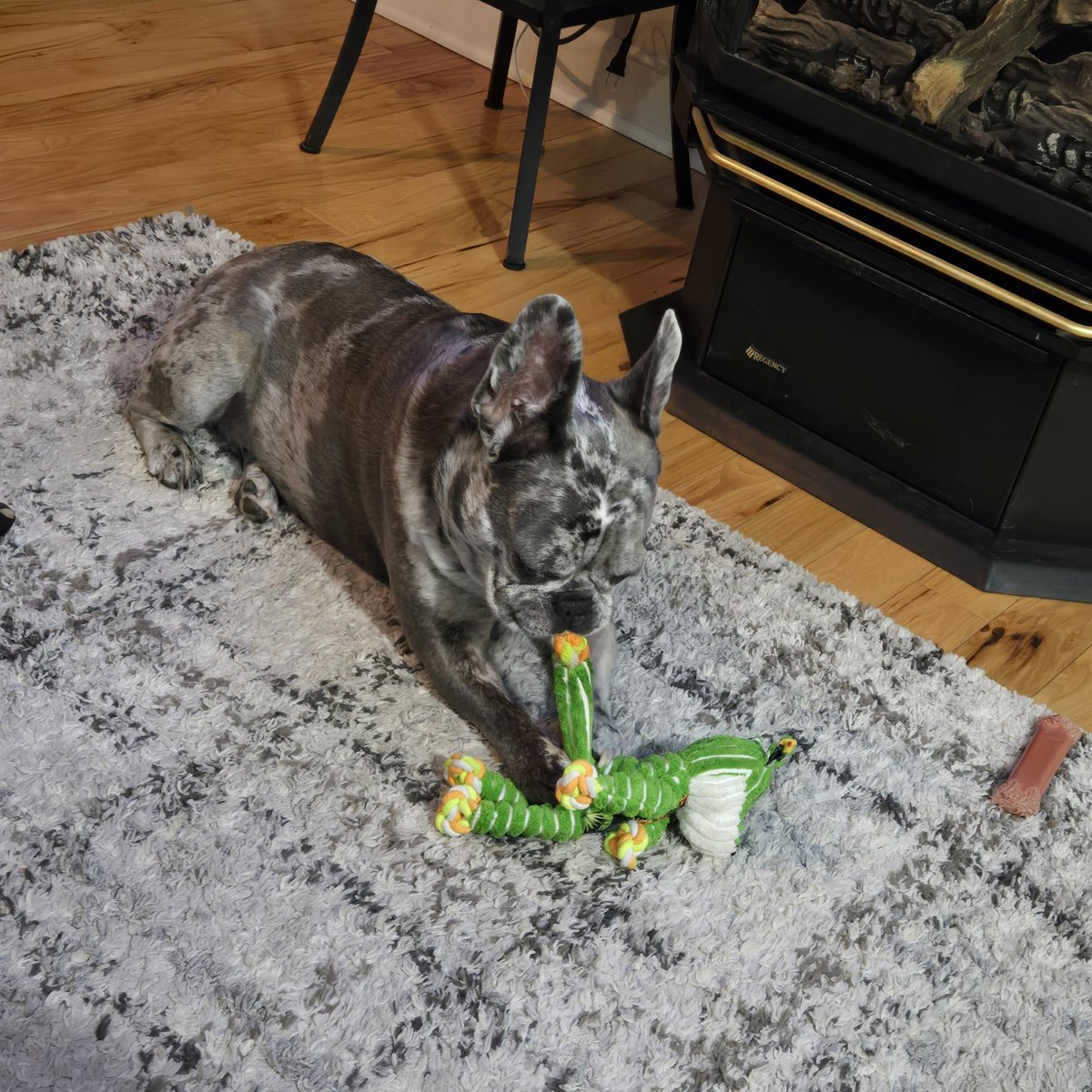 <a href="/EllaQueenofSol/">EllaQueenofSol</a>, Good Morning Everyone Enjoying A Morning Chew, Enjoy Your Day!!!
CF5VehjuZvxZZQFP5tybGra6ts574FAwt6Z7GuX9pump