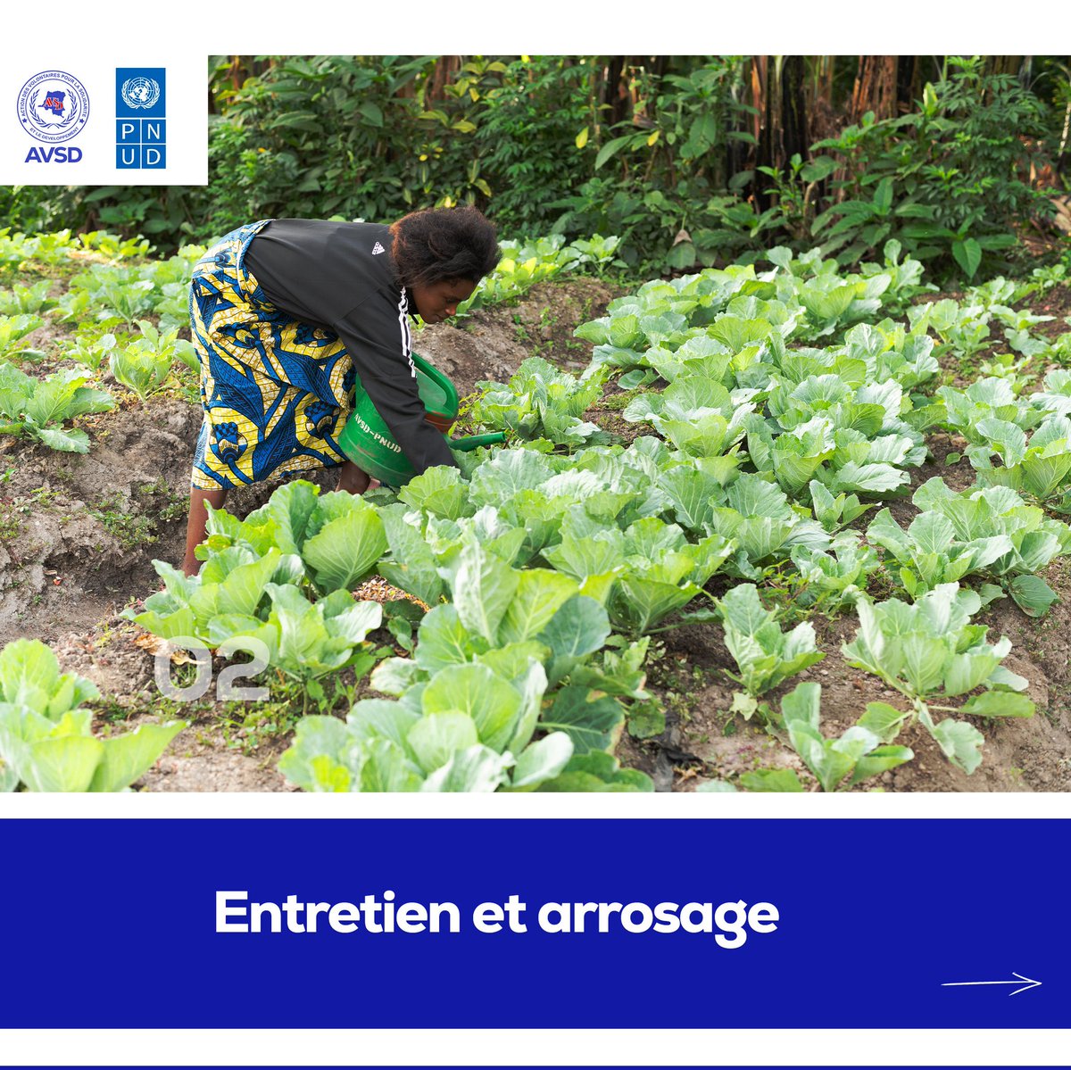 Avsd-drcongo tweet media