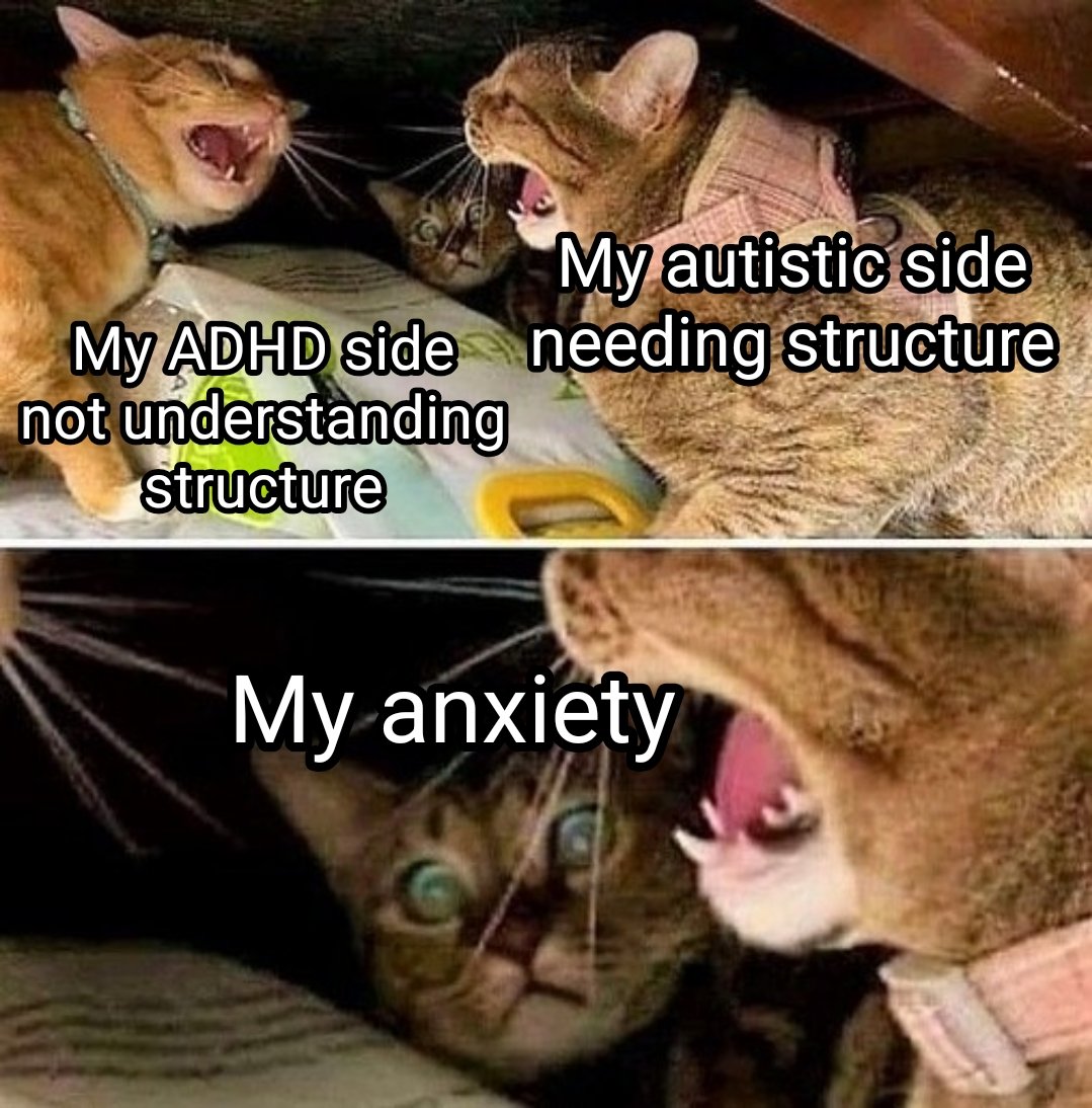 Autistic_Lauren's tweet image. 