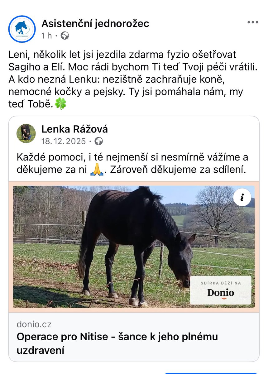 Lenka zachraňuje vše živé. Několik let ošetřovala Sagiho a Elinku. Teď jsme jí to aspoň částečně vrátili. Děkuji, když zvážíte podporu. 
Odkaz vkládám níže.