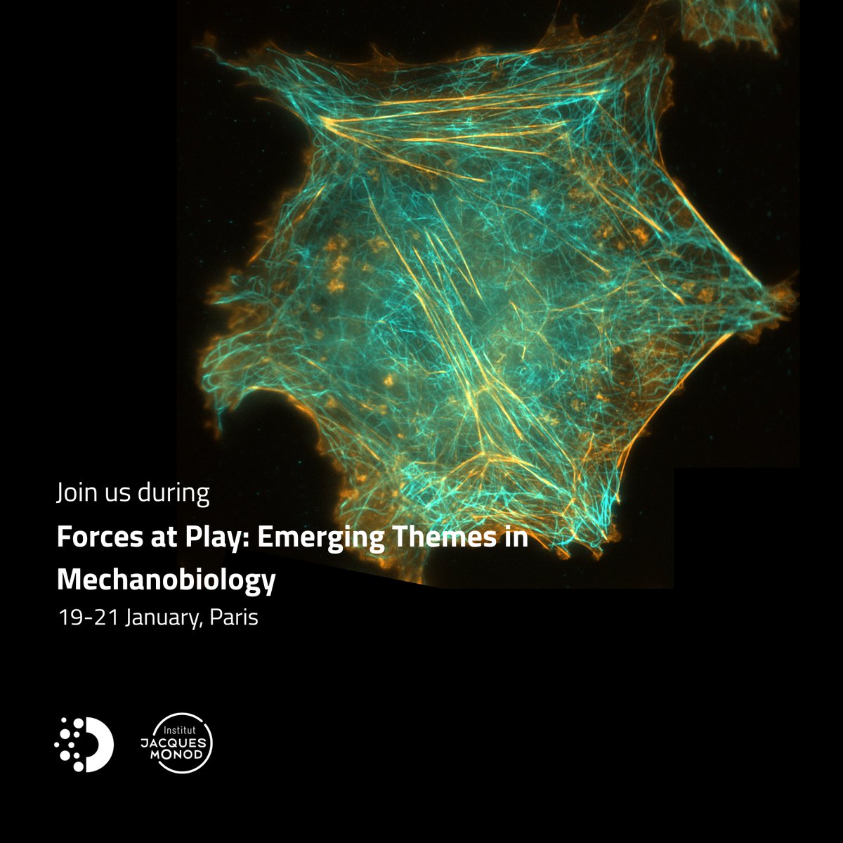 Abbelight tweet media