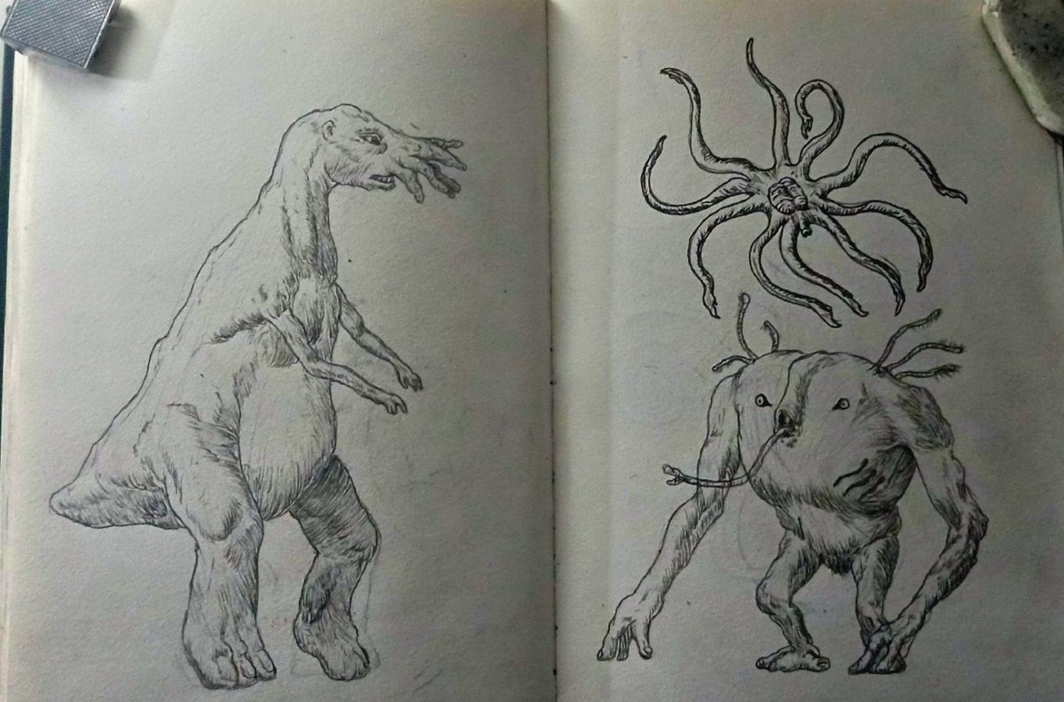 🦑SERVIOX🦑 tweet media