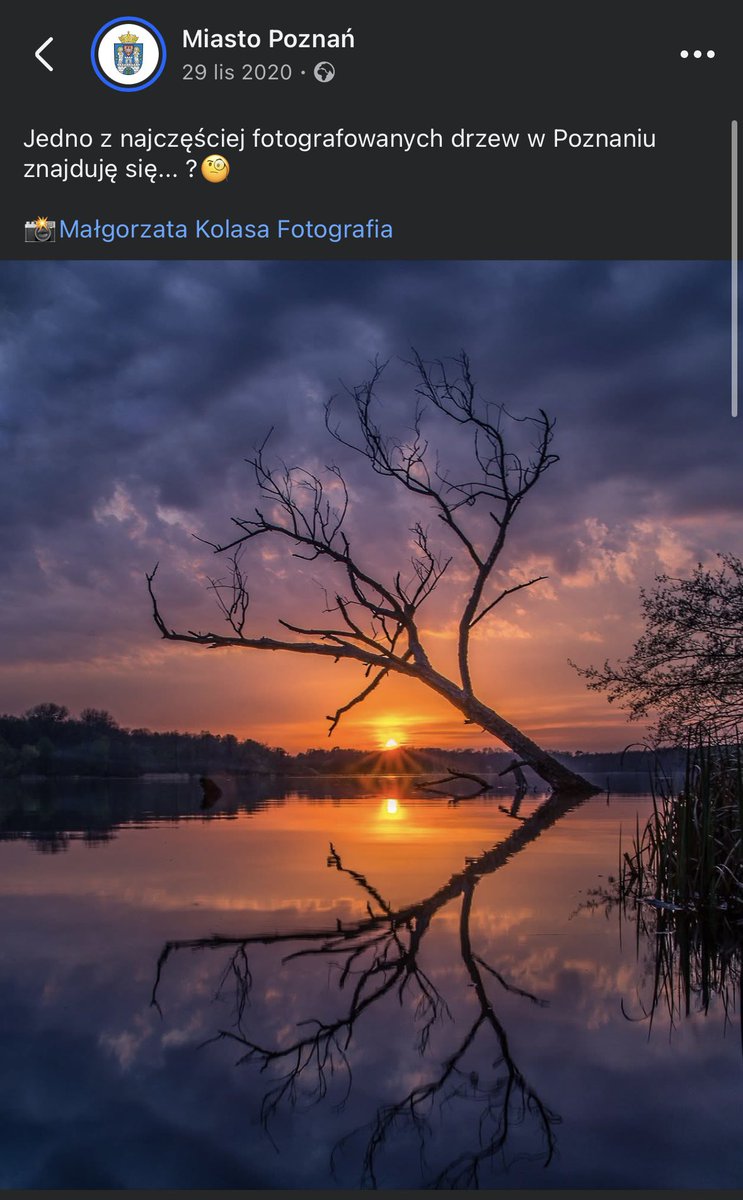 poznan_moment tweet media