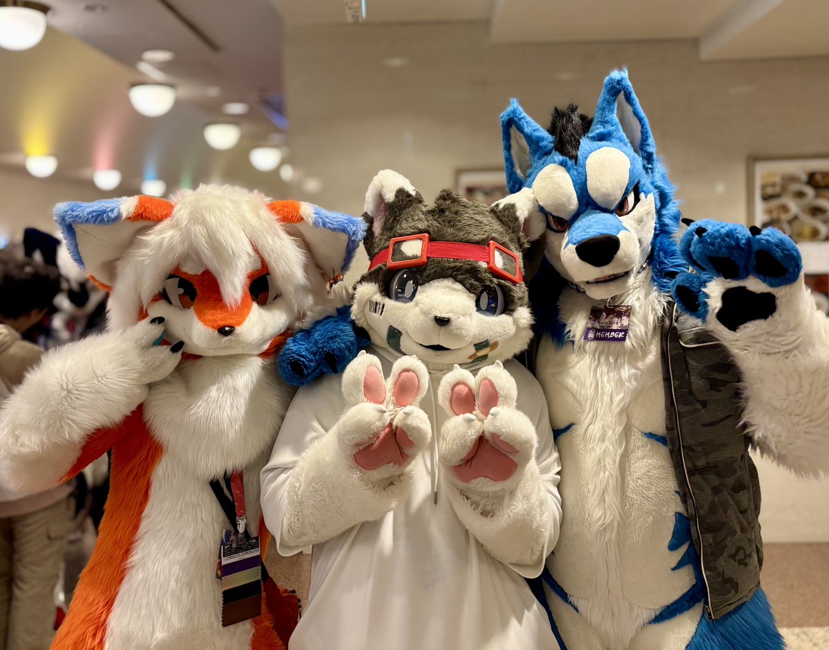 みんなで撮ってもらったよ🧡🤍🩵🐶🐱🎸 #JMoF2026 📸:#samuzoraizuna
