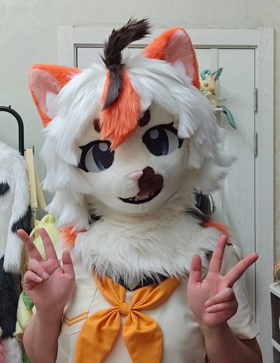 CM🐱

#fursuit #fursuitcommission