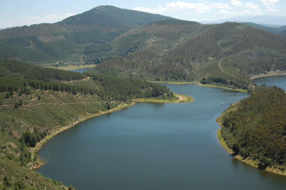 Diego Mader tweet media