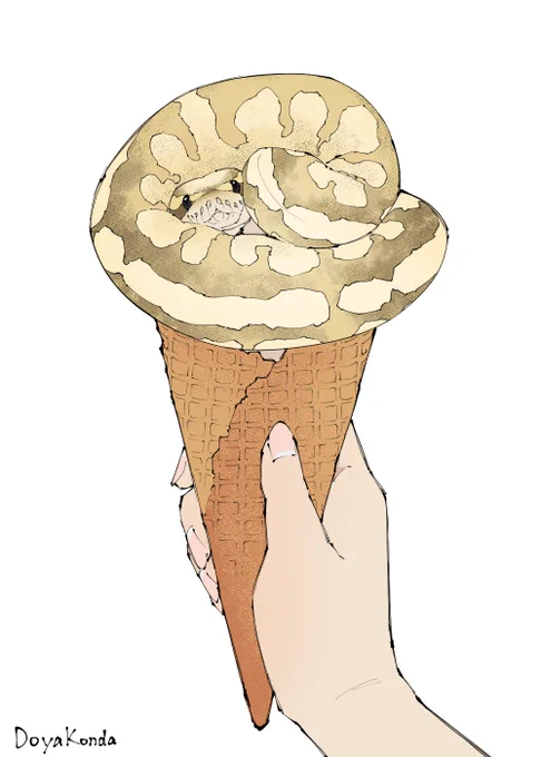 ボールパイソン バニラクリームちゃん