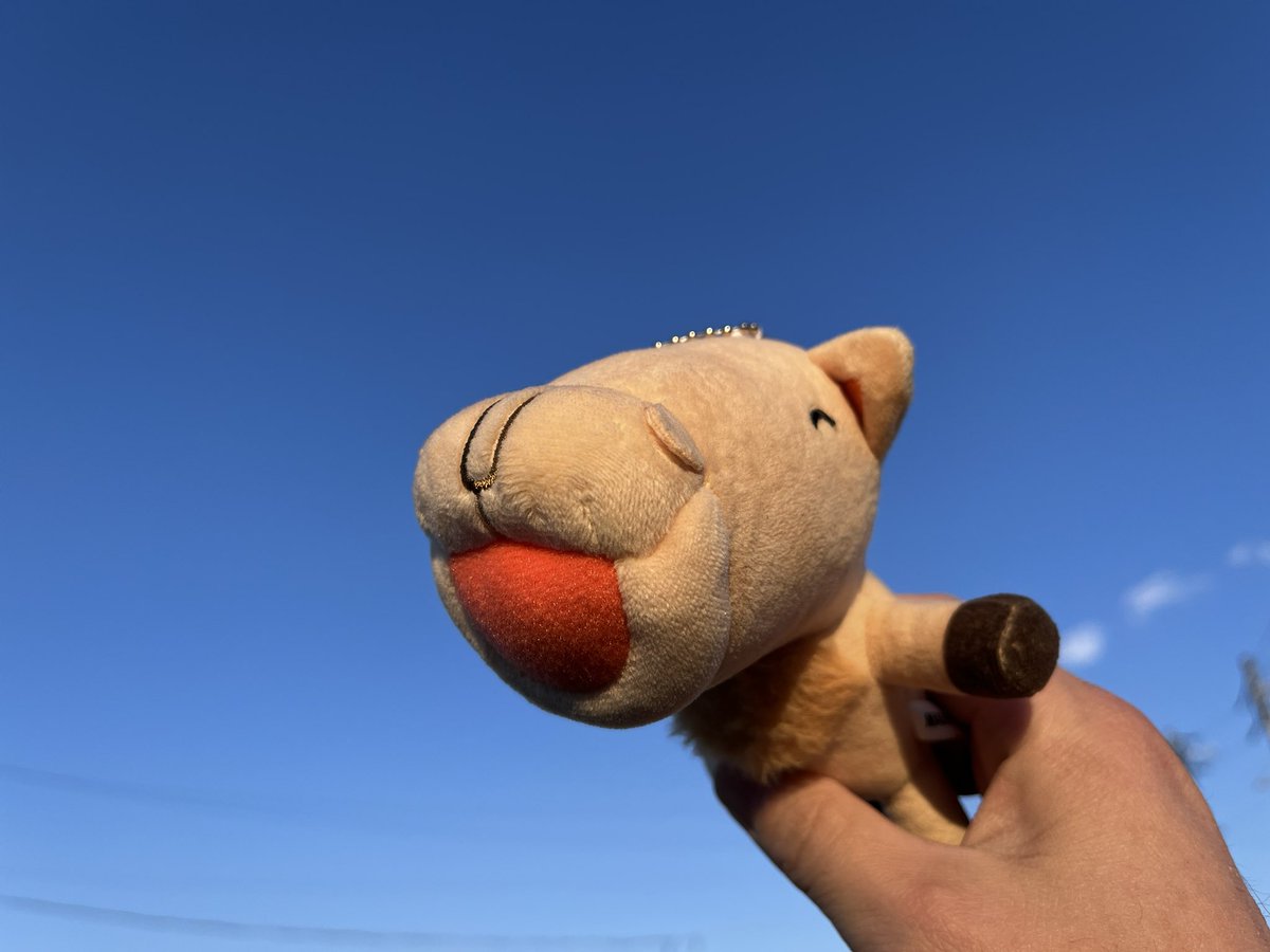 BirgdinBoard's tweet image. 【ウマゴンと一緒】
今年初ウマゴンと🚶‍♀️😊
今年は午年！ウマゴン今年もよろしくね♪☺️