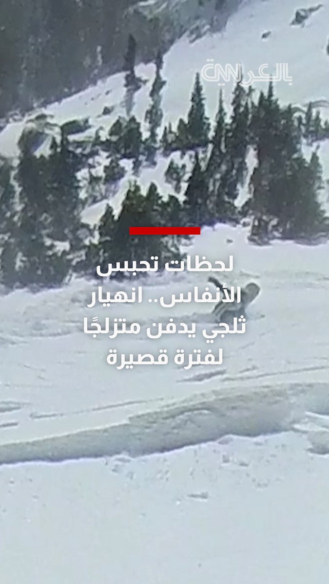 تشبث بشجرة لينجو بحياته.. انهيار ثلجي يدفن متزلجا لفترة قصيرة بمنتزه روكي ماونتن الوطني في ولاية كولورادو 