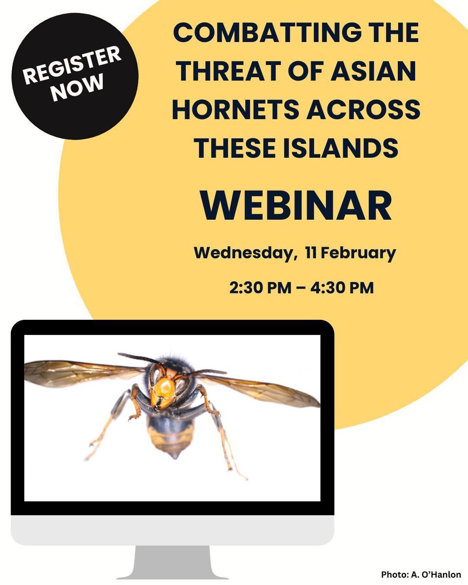 Biodiversity Ireland tweet media