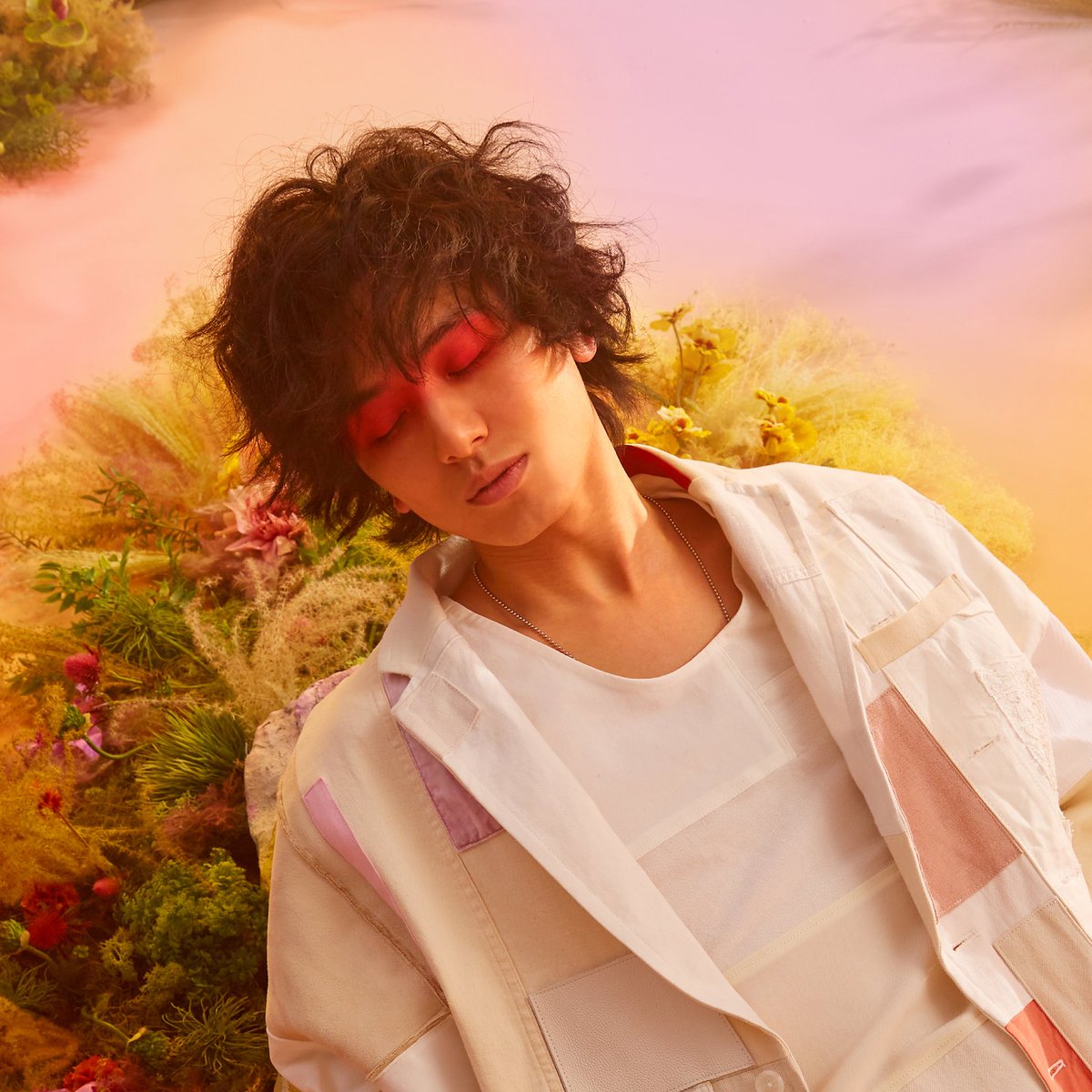 WINDY (@chis_fk) / Posts / X