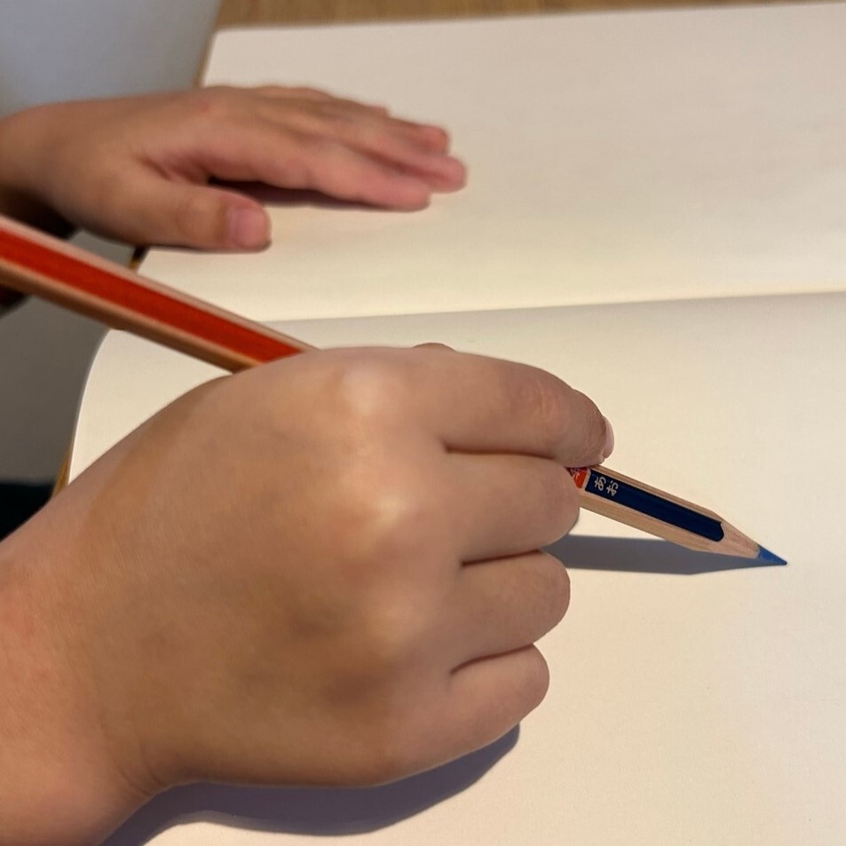 muji_net's tweet image. 小学校での使用頻度にあわせて、芯の比率を「赤7：青3」にしました。

muji.com/jp/ja/store/cm…