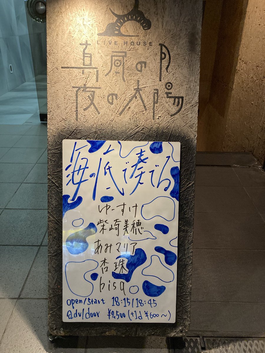 今日もここです。昨日は着いた時地上にまだ出でなかった