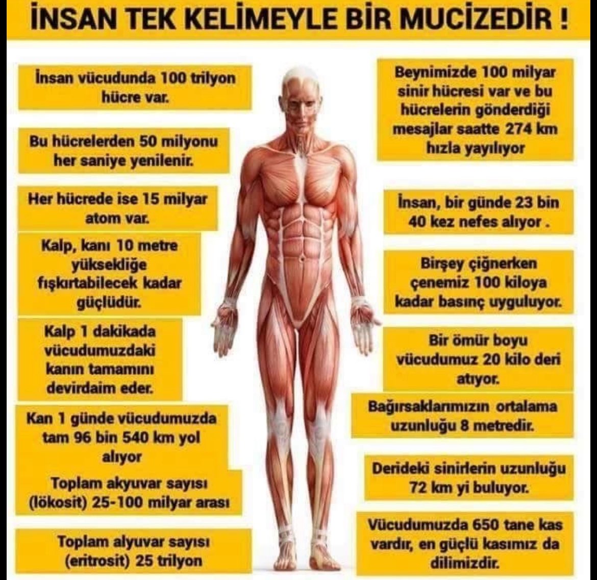 Profesyonel Masör Denizli tweet media