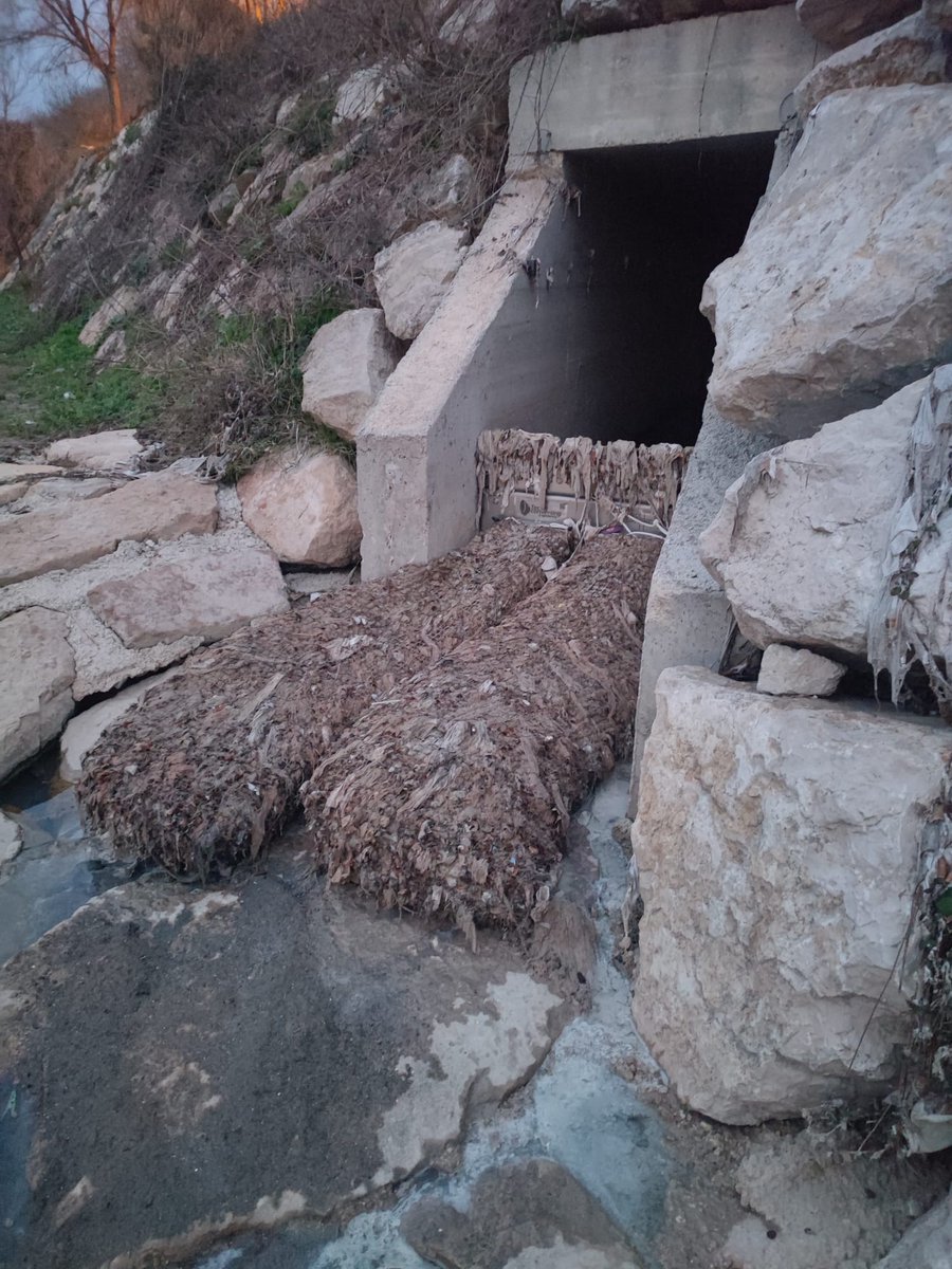 AnoiaPelClima tweet media