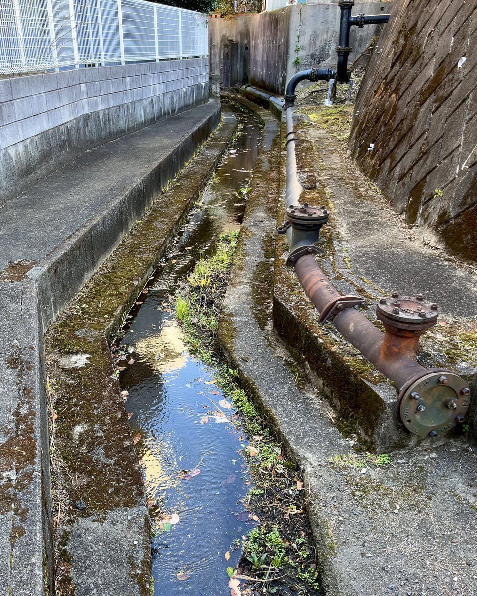 frog_frog's tweet image. 一の宮用水 くるま堀
〔多摩市〕