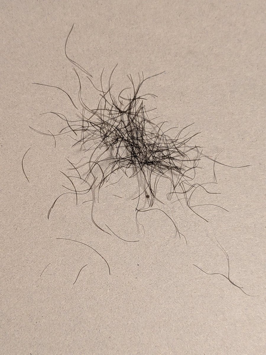 活動再開予定無いけど○○毛整えました
自己マンですね