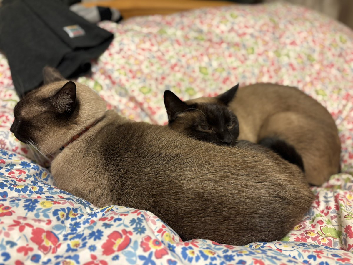 お出迎えなし。
いつもだけどさ。