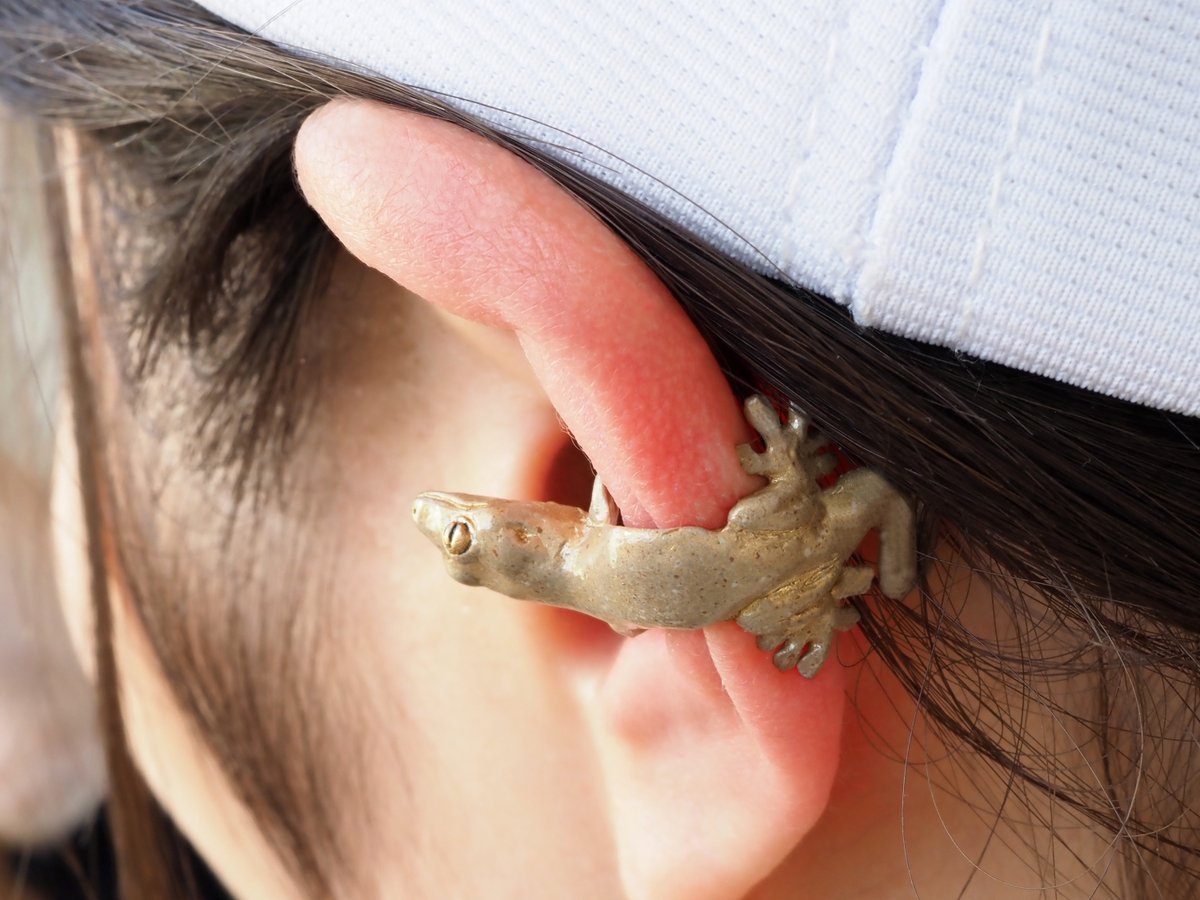 ninaendlesseive's tweet image. 耳の裏からヤモリがひょっこり♪

ひさしぶりにニホンヤモリの
イヤーカフを作りました！
後ろから見てもかわいい〜

コチラも1月末に販売。