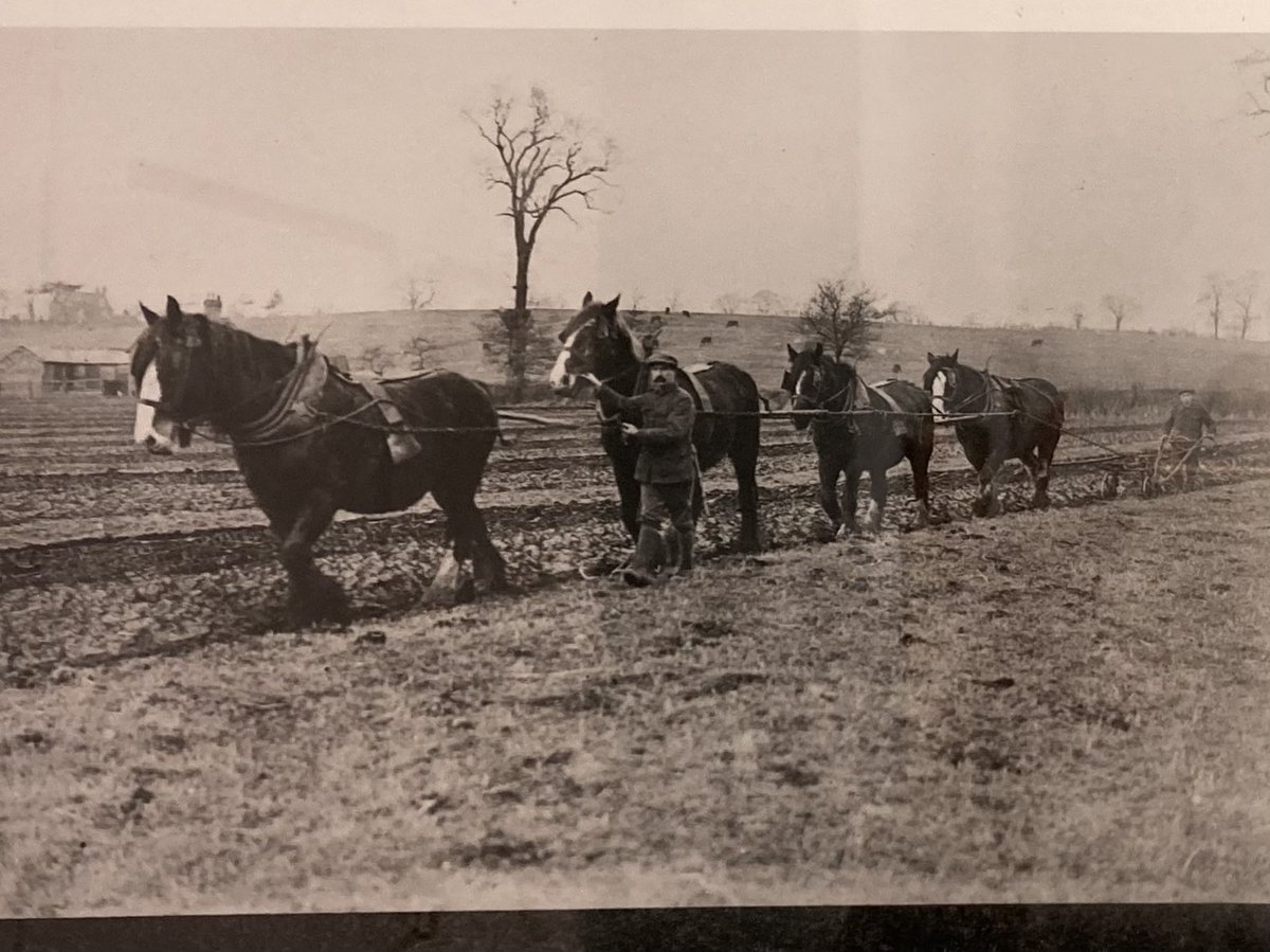 Kate Russell tweet media