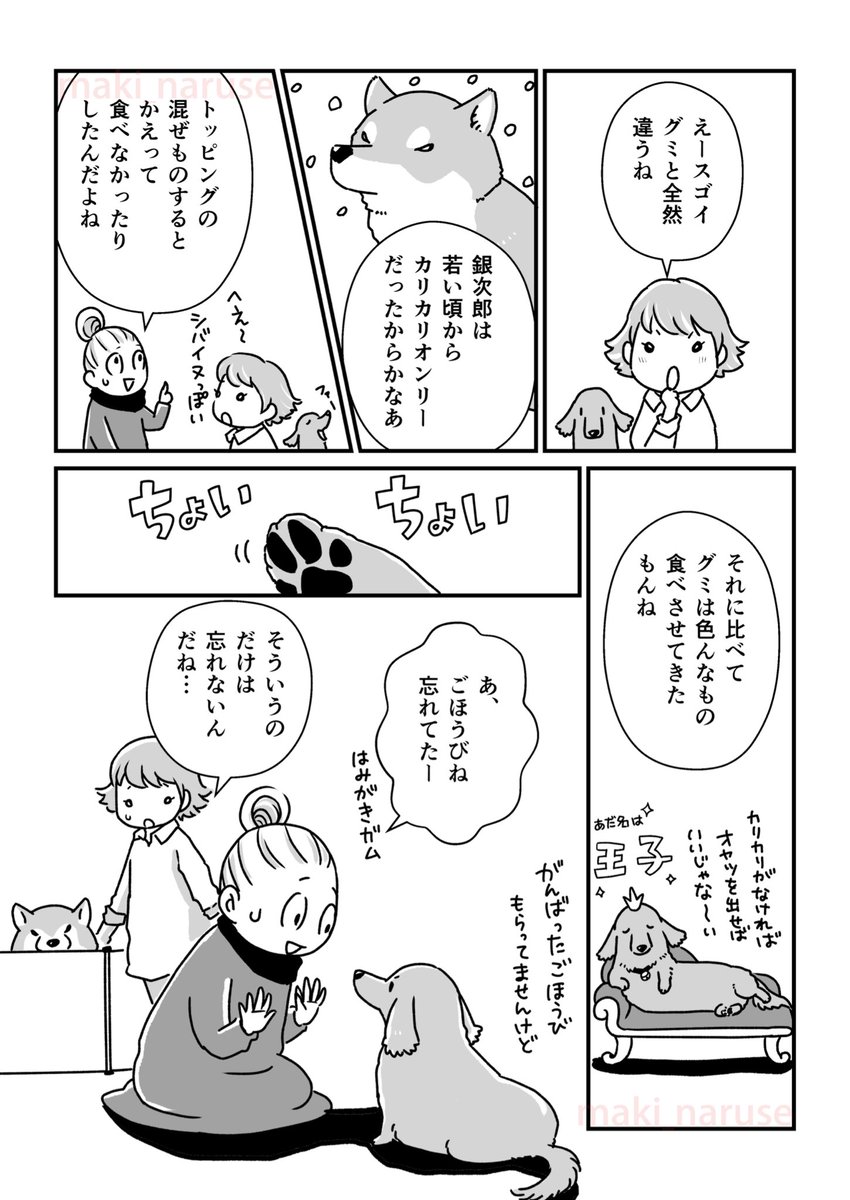 シニアになったグミと銀次郎の漫画(2/2)
6話目🐾

#グミ銀
#グミ王子
#柴犬銀次郎
#真希ナルセ 