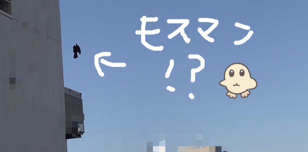 よわいぬ (@yowai_nuu) on Twitter photo 