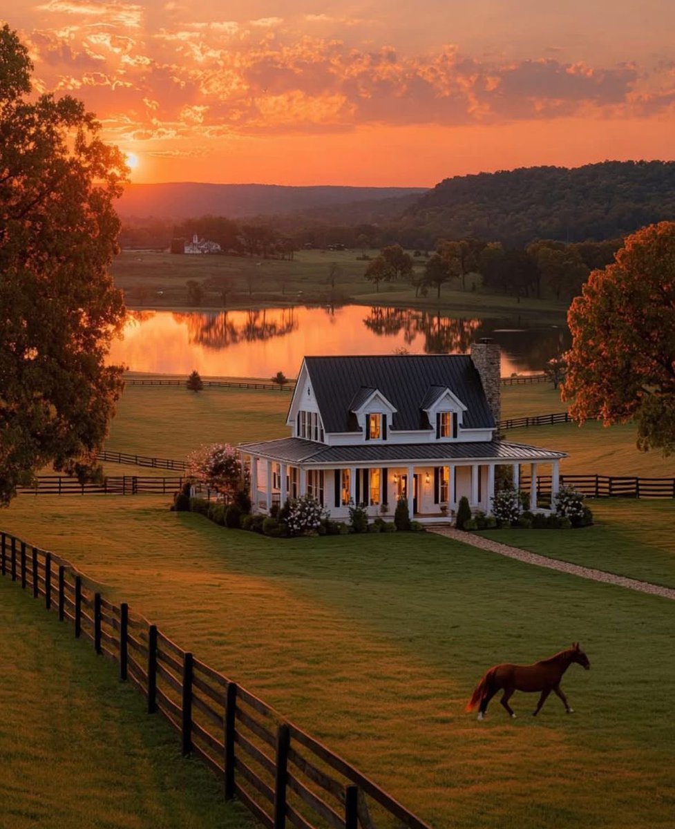 Butterflless's tweet image. 