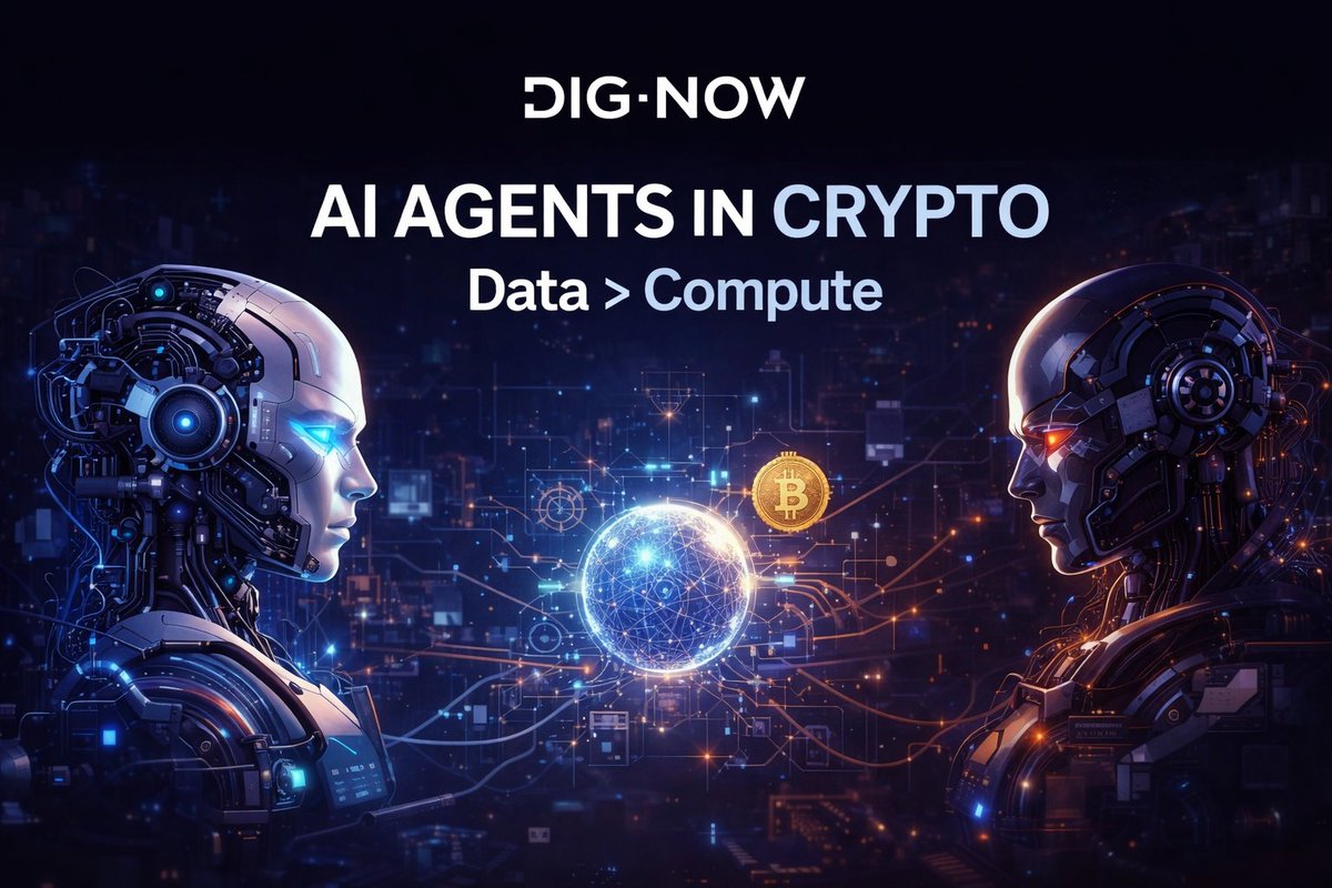 DigNow.io tweet media