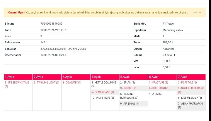 Yabancıda devirli plaseyi misli almışız salih