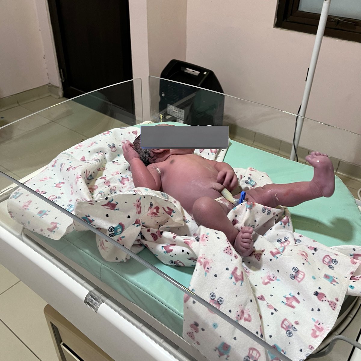 studywithblew's tweet image. welcoming stase obsgin 🤰🏻